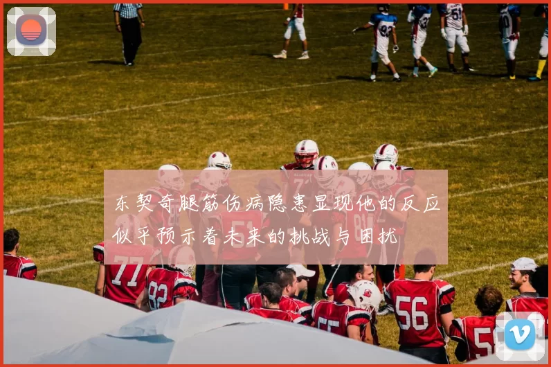 东契奇腿筋伤病隐患显现他的反应似乎预示着未来的挑战与困扰